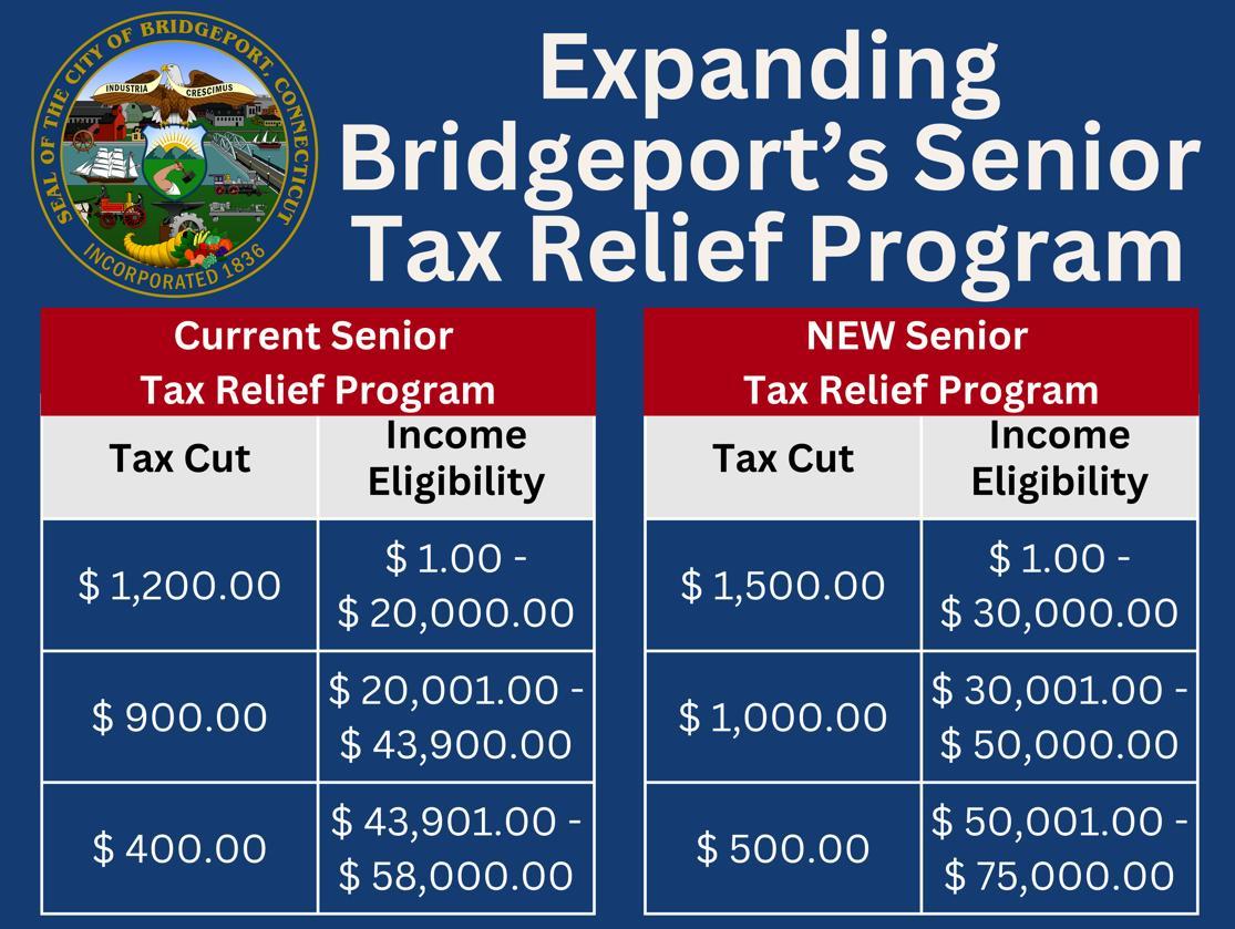 Recommendations for Advocating Senior Tax Relief in Your Community