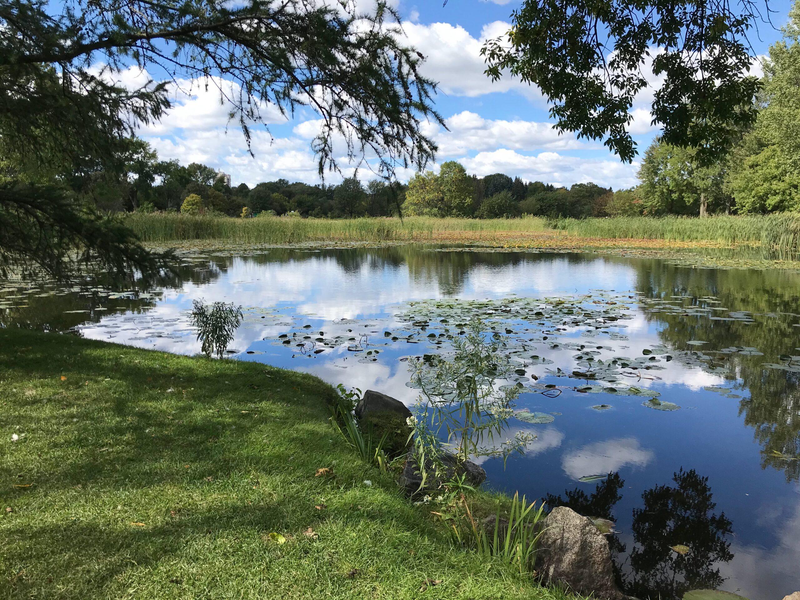 Evaluating the Impact of policy Changes on Local Ecosystems