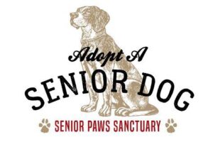 A Florida shelter wants him to spend his senior years “surrounded by love and care.”