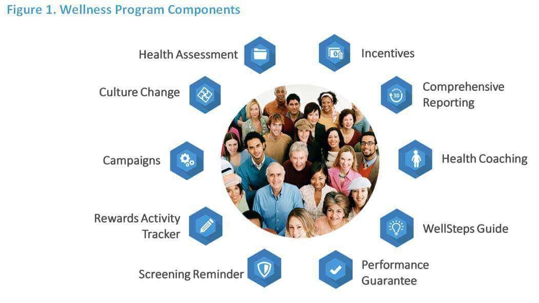 A Comprehensive Guide to Health and Wellness Programs